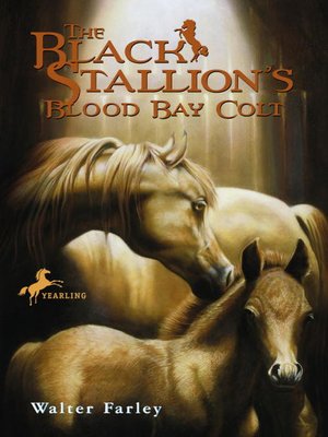 cover image of The Black Stallion's Blood Bay Colt